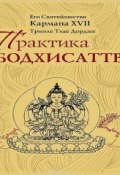 Практика Бодхисаттвы (Третий Кармапа Ранджунг Дордже, 2013)