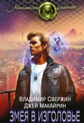 Книга "Змея в изголовье" (Владимир Свержин, МакАйрин Джей, 2017)