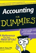 Accounting For Dummies ()