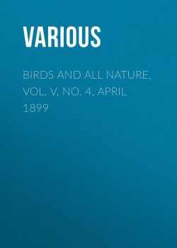 Книга "Birds and All Nature, Vol. V, No. 4, April 1899" – Various