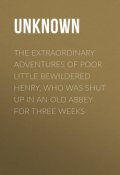 The Extraordinary Adventures of Poor Little Bewildered Henry, Who was shut up in an Old Abbey for Three Weeks (Unknown Unknown)