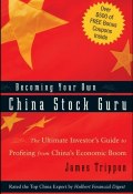 Becoming Your Own China Stock Guru. The Ultimate Investors Guide to Profiting from Chinas Economic Boom ()