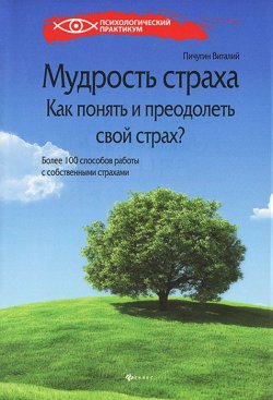 Книга "Мудрость страха. Как понять и преодолеть свой страх?" – Виталий Пичугин, 2013