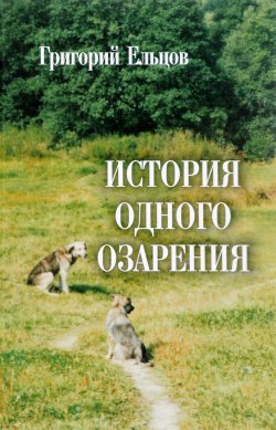 Книга "История одного озарения" – Григорий Ельцов, 2018