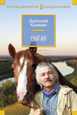 Книга "Цыган" – , 2015