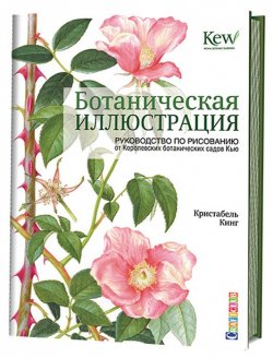 Книга "Ботаническая иллюстрация. Руководство по рисованию от Королевских ботанических садов Кью" – , 2017