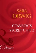 Cowboy's Secret Child (Orwig Sara)