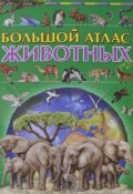Книга "Большой атлас животных" (Феданова Юлия, Ирина Булгакова, 2014)