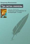 Книга "Три ветки мимозы" (Владимир Железников)