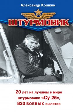 Книга "Штурмовик" – Евгений Зубарев, Александр Кошкин, 2012