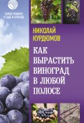 Книга "Как вырастить виноград в любой полосе" (Николай Курдюмов, 2021)