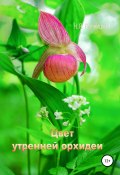 Цвет утренней орхидеи (Репницкий Николай, 2019)