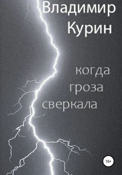 Книга "Когда гроза сверкала" – Владимир Курин, 2020