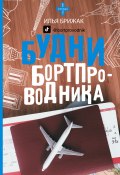 Книга "Будни бортпроводника" (Илья Брижак, 2020)