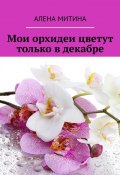 Мои орхидеи цветут только в декабре (Алена Митина)