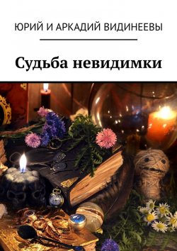 Книга "Судьба невидимки" – Юрий и Аркадий Видинеевы