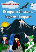 История о Снежике, Горике и Егорике (Славяна Бушнева, 2020)