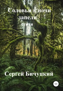 Книга "Соловьи в ночи запели" – Сергей Бичуцкий, 2021