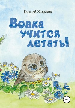 Книга "Вовка учится летать!" – Евгений Хохряков, 2021