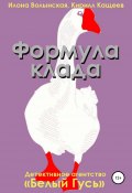 Книга "Формула клада" (Кирилл Кащеев, Волынская Илона, 2013)