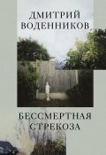 Книга "Бессмертная стрекоза / Эссе" (Дмитрий Воденников, 2022)