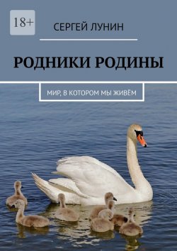 Книга "Родники Родины. Мир, в котором мы живём" – Сергей Лунин