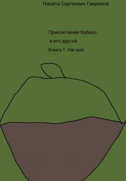 Книга "Приключение Кабана и его друзей. Книга 1. Начало" – Никита Гаврилов, 2023