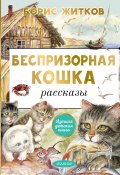 Книга "Беспризорная кошка / Рассказы" (Борис Житков, 2023)