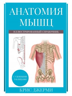 Книга "Анатомия мышц: иллюстрированный справочник" – Крис Джерми, 2018