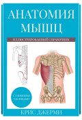 Анатомия мышц: иллюстрированный справочник (Крис Джерми, 2018)