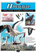 Птицы. Полная энциклопедия (Ю. К. Школьник, 2008)