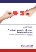 Practical aspects of neue kombinationen. Essence of entrepreneurship and settlement relations (Николай Камзин, Елизавета Камзина, 2011)