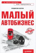 Книга "Малый автобизнес: с чего начать, как преуспеть" (Владислав Волгин, 2012)
