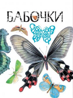 Книга "Бабочки" {Самая красивая книга} – В. Г. Бабенко, 2012