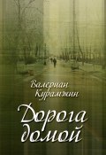 Дорога домой (сборник) (Валериан Курамжин, 2014)