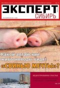 Книга "Эксперт Сибирь 11-2013" (Редакция журнала Эксперт Сибирь, 2013)