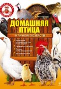 Домашняя птица в личном хозяйстве (Татьяна Михайлова, 2011)