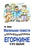 Книга "Маленькие повести о большом мичмане Егоркине и его друзьях" (Ф. Илин, 2015)