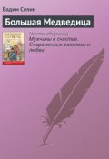 Книга "Большая Медведица" (Вадим Селин, 2016)