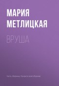 Книга "Вруша" (Мария Метлицкая, 2017)