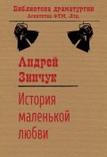 Книга "История маленькой любви" (Андрей Зинчук)