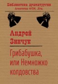 Книга "Грибабушка, или Немножко колдовства" (Андрей Зинчук)