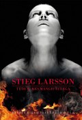 Tüdruk, kes mängis tulega (Ларссон Стиг, Stieg Larsson, ещё 2 автора, 2011)