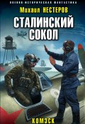Книга "Сталинский сокол. Комэск" (Михаил Нестеров, 2019)