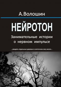 Книга "Нейротон. Занимательные истории о нервном импульсе" – Александр Волошин