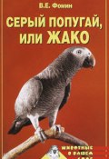 Серый попугай жако (Е. Фомин)