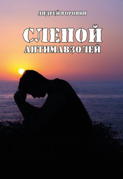 Книга "Слепой. Антимавзолей" {Слепой} – Андрей Воронин, 2006