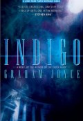 Индиго (Джойс Грэм, 1999)