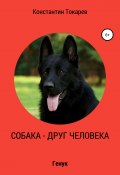 Собака – друг человека (Константин Токарев, 2018)