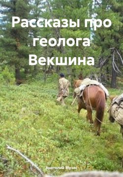 Книга "Рассказы про геолога Векшина" – Анатолий Музис, 2019